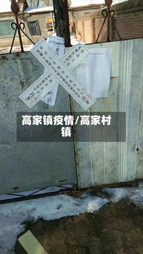 高家镇疫情/高家村镇