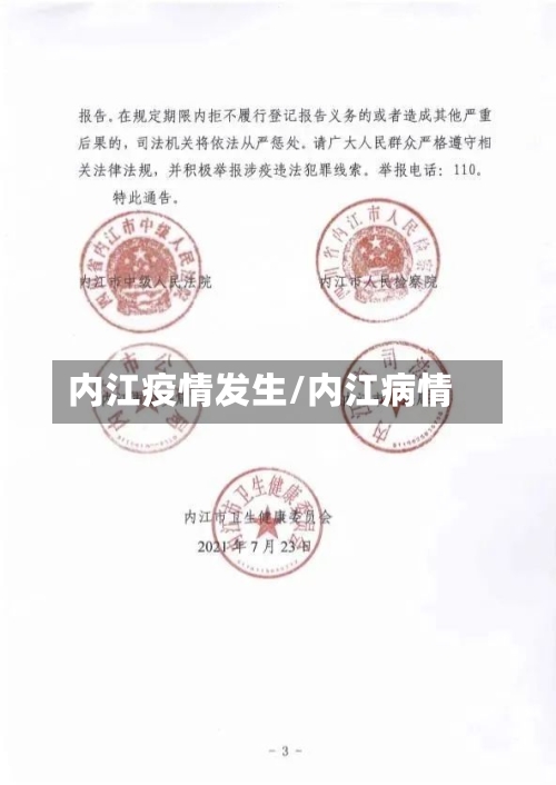 内江疫情发生/内江病情