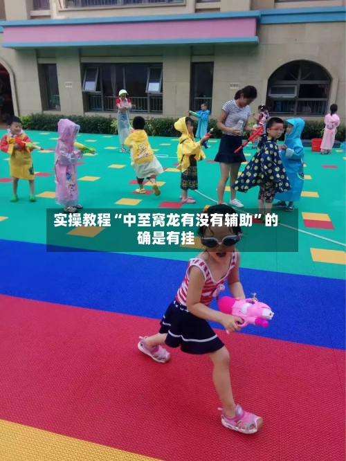 实操教程“中至窝龙有没有辅助”的确是有挂