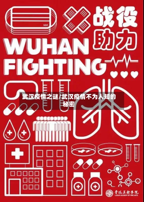 武汉疫情之谜/武汉疫情不为人知的秘密