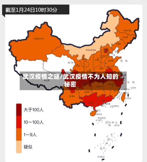 武汉疫情之谜/武汉疫情不为人知的秘密-第3张图片