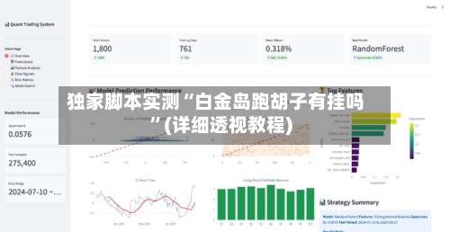 独家脚本实测“白金岛跑胡子有挂吗”(详细透视教程)