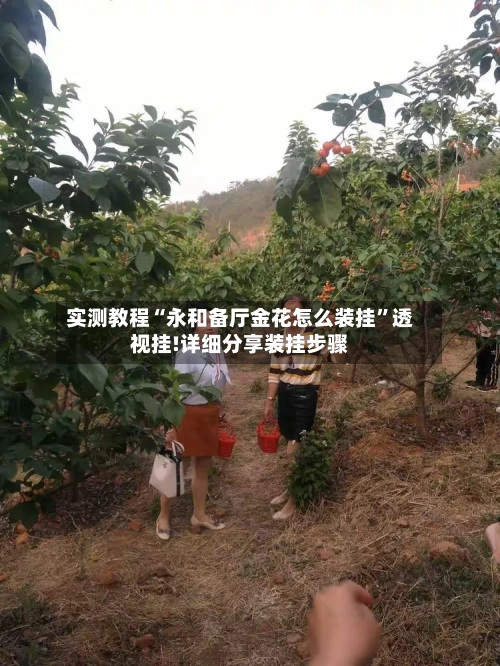 实测教程“永和备厅金花怎么装挂”透视挂!详细分享装挂步骤