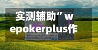 实测辅助	”wepokerplus作弊辅助挂透视软件”详细分享装挂-第1张图片