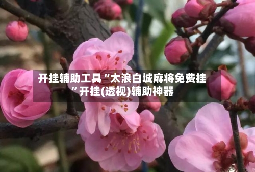 开挂辅助工具“太浪白城麻将免费挂”开挂(透视)辅助神器