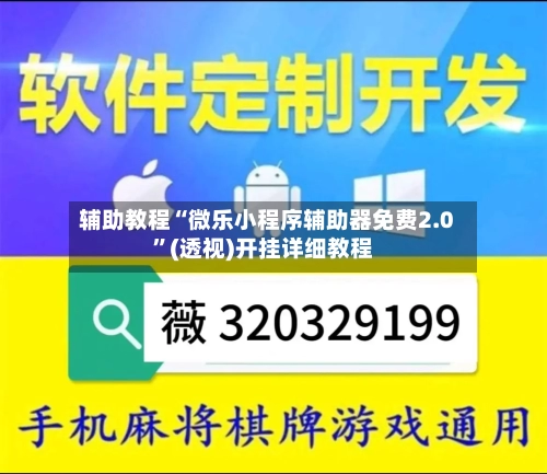 辅助教程“微乐小程序辅助器免费2.0”(透视)开挂详细教程