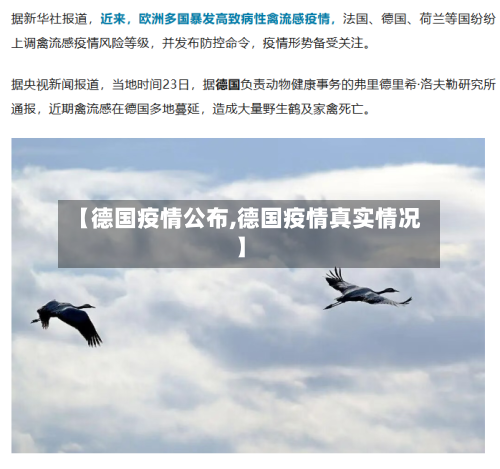 【德国疫情公布,德国疫情真实情况】-第1张图片
