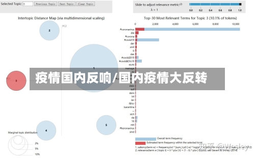 疫情国内反响/国内疫情大反转