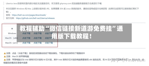教程辅助“微信链接新道游免费挂”通用版下载教程！