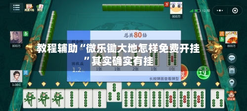 教程辅助“微乐锄大地怎样免费开挂	”其实确实有挂-第1张图片