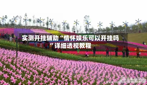 实测开挂辅助“情怀娱乐可以开挂吗	”详细透视教程-第1张图片