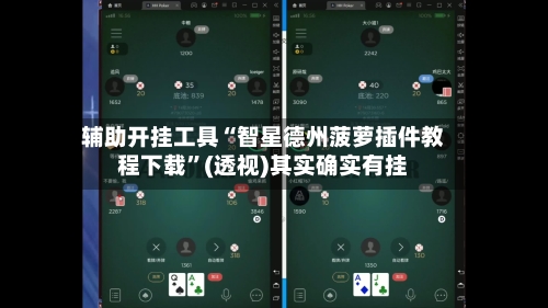 辅助开挂工具“智星德州菠萝插件教程下载”(透视)其实确实有挂
