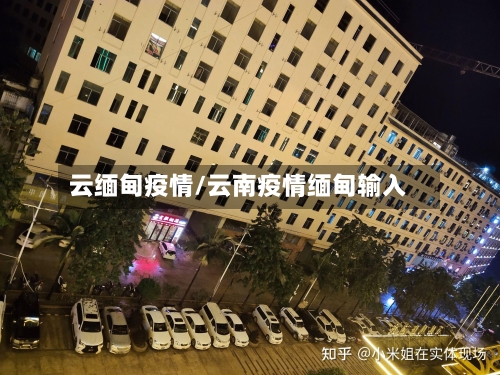 云缅甸疫情/云南疫情缅甸输入