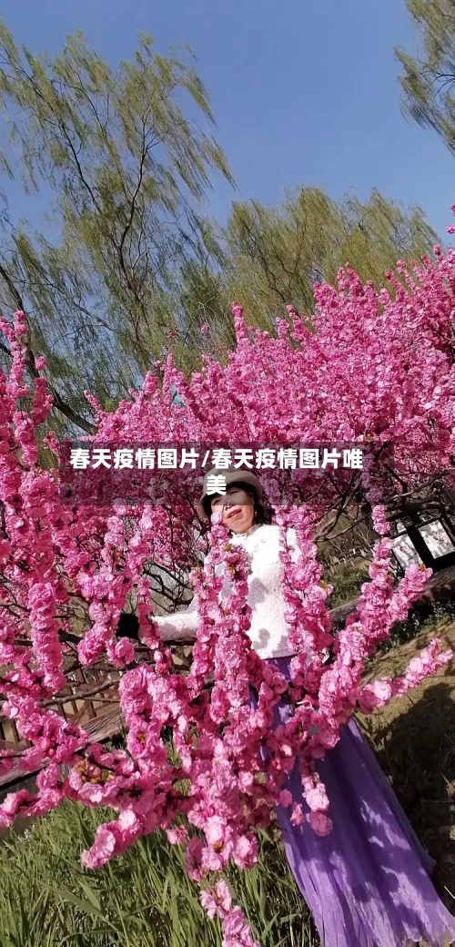 春天疫情图片/春天疫情图片唯美-第1张图片