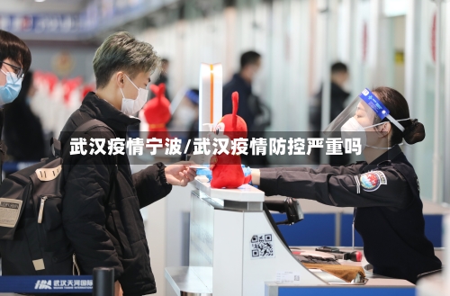 武汉疫情宁波/武汉疫情防控严重吗