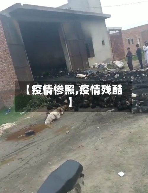 【疫情惨照,疫情残酷】-第1张图片