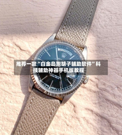 推荐一款“白金岛跑胡子辅助软件	”科技辅助神器手机版教程-第1张图片