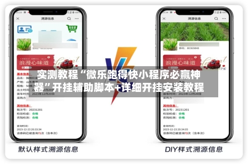 实测教程“微乐跑得快小程序必赢神器”开挂辅助脚本+详细开挂安装教程-第1张图片