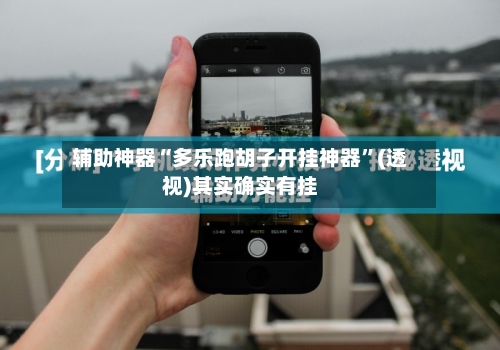 辅助神器“多乐跑胡子开挂神器”(透视)其实确实有挂-第1张图片