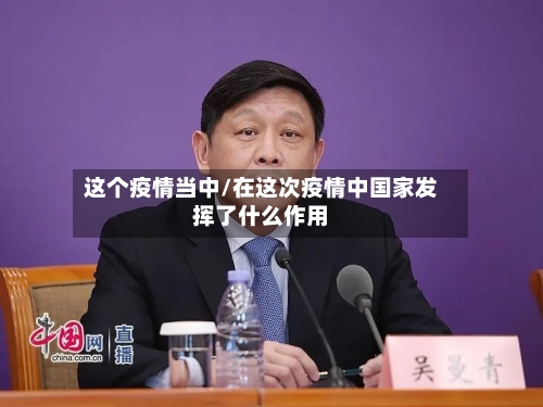 这个疫情当中/在这次疫情中国家发挥了什么作用