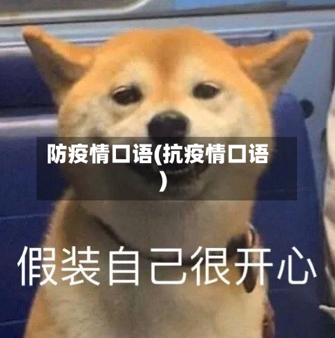 防疫情口语(抗疫情口语)