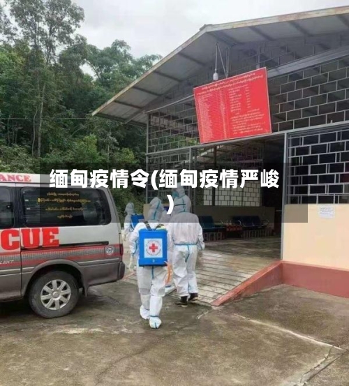 缅甸疫情令(缅甸疫情严峻)-第1张图片