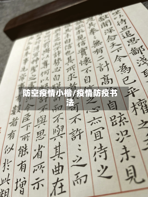 防空疫情小楷/疫情防疫书法