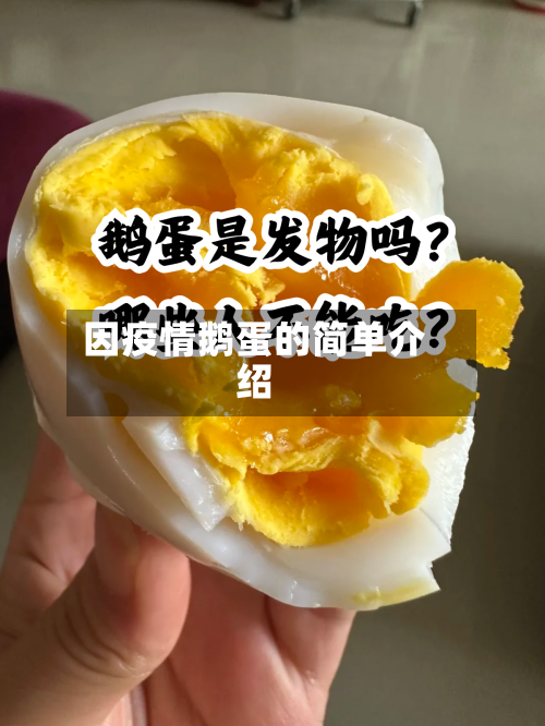 因疫情鹅蛋的简单介绍