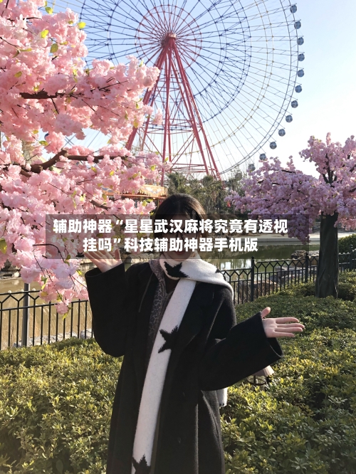 辅助神器“星星武汉麻将究竟有透视挂吗	”科技辅助神器手机版-第1张图片