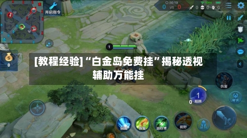 [教程经验]“白金岛免费挂”揭秘透视辅助万能挂