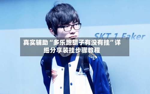 真实辅助“多乐跑胡子有没有挂”详细分享装挂步骤教程-第2张图片