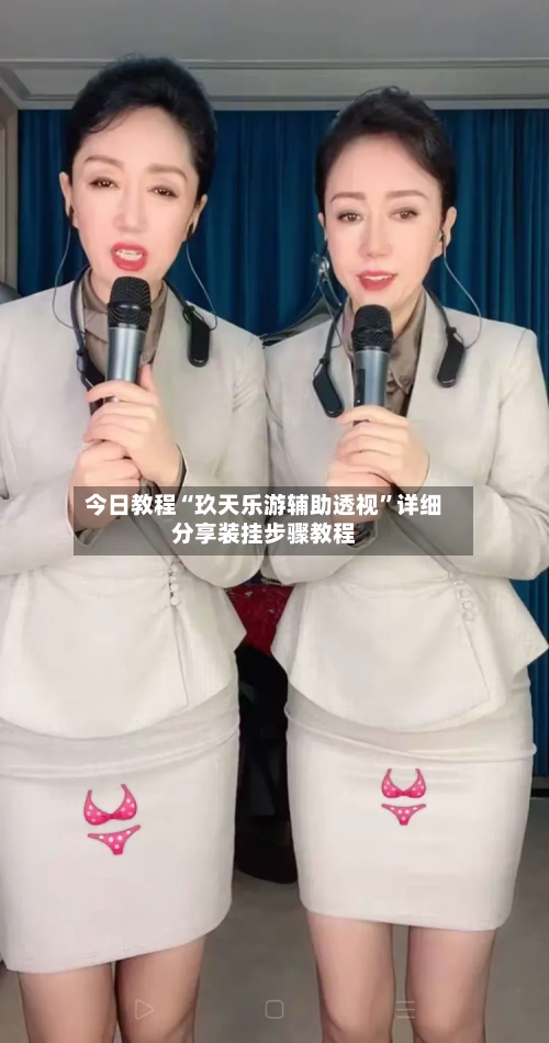 今日教程“玖天乐游辅助透视”详细分享装挂步骤教程