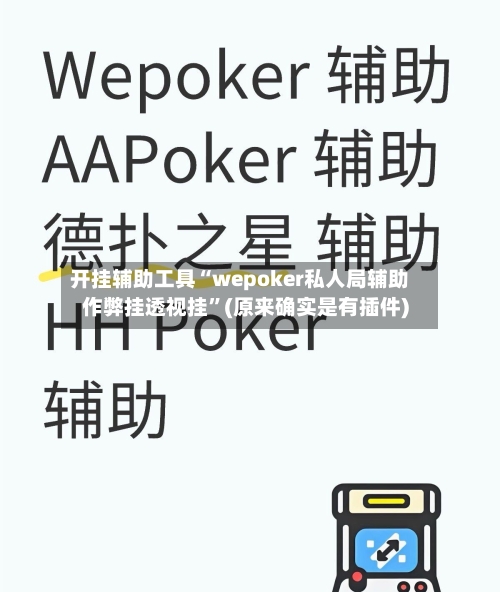 开挂辅助工具“wepoker私人局辅助作弊挂透视挂”(原来确实是有插件)-第2张图片
