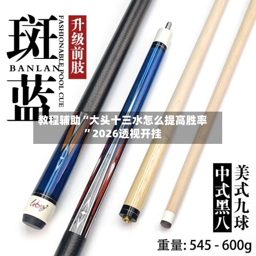 教程辅助“大头十三水怎么提高胜率”2026透视开挂-第1张图片