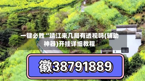 一键必胜“靖江来几局有透视吗(辅助神器)开挂详细教程-第1张图片