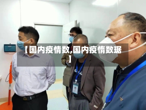【国内疫情数,国内疫惰数琚】
