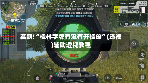 实测!“桂林字牌有没有开挂的”(透视)辅助透视教程
