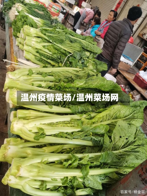 温州疫情菜场/温州菜场网-第1张图片