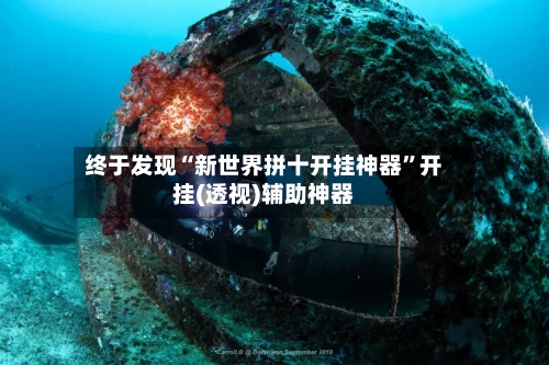 终于发现“新世界拼十开挂神器”开挂(透视)辅助神器