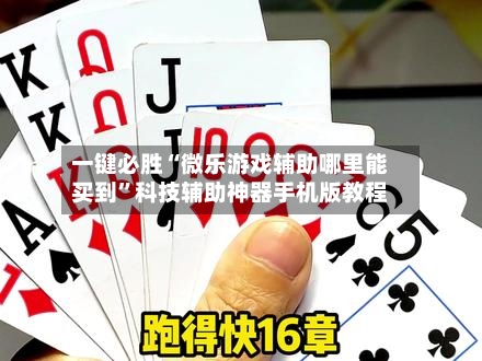 一键必胜“微乐游戏辅助哪里能买到”科技辅助神器手机版教程-第1张图片