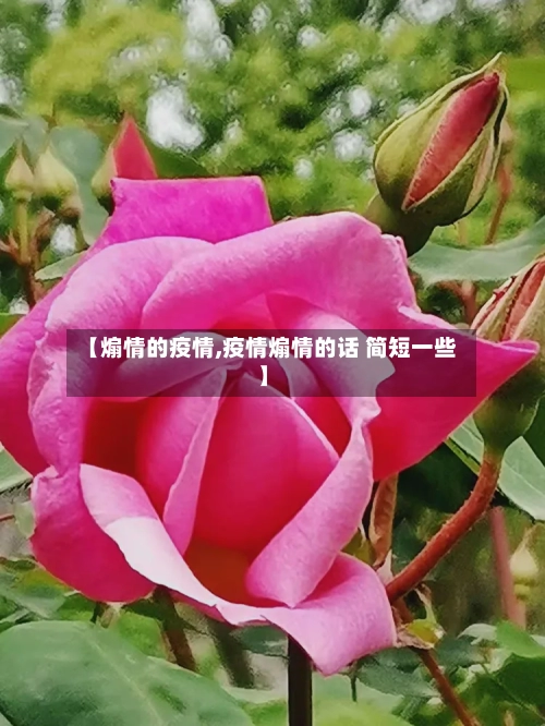 【煽情的疫情,疫情煽情的话 简短一些】-第3张图片