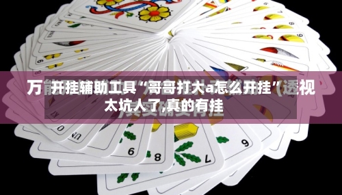 开挂辅助工具“哥哥打大a怎么开挂”太坑人了,真的有挂
