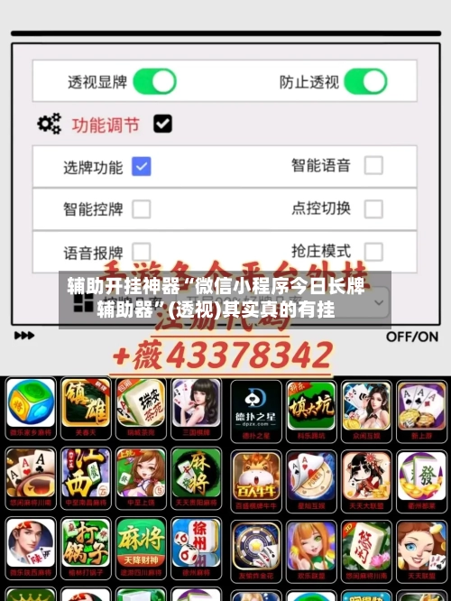 辅助开挂神器“微信小程序今日长牌辅助器”(透视)其实真的有挂-第2张图片