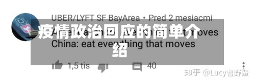 疫情政治回应的简单介绍