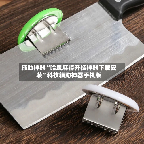 辅助神器“哈灵麻将开挂神器下载安装”科技辅助神器手机版