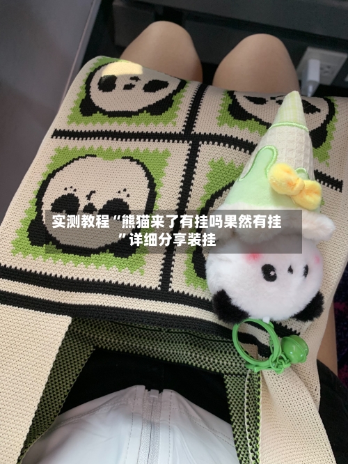 实测教程“熊猫来了有挂吗果然有挂”详细分享装挂