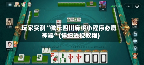 玩家实测“微乐四川麻将小程序必赢神器”(详细透视教程)
