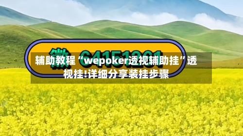 辅助教程“wepoker透视辅助挂”透视挂!详细分享装挂步骤-第2张图片
