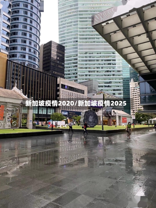 新加坡疫情2020/新加坡疫情2025-第2张图片
