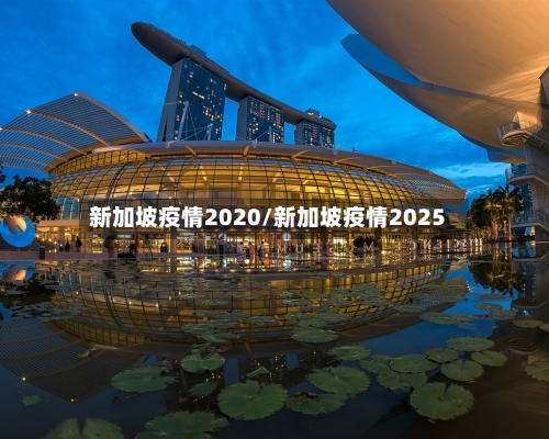 新加坡疫情2020/新加坡疫情2025